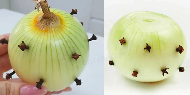 Η γιαγιά μου, που είναι Γαλλίδα, βάζει πάντα ένα γαρίφαλο στο κρεμμύδι: εκπλήχτηκα όταν έμαθα τον λόγο