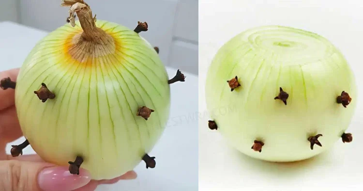 Η γιαγιά μου, που είναι Γαλλίδα, βάζει πάντα ένα γαρίφαλο στο κρεμμύδι: εκπλήχτηκα όταν έμαθα τον λόγο