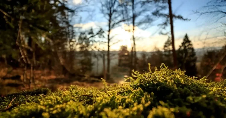 Πήγε στην τουαλέτα & εξαφανίστηκε για 57 χρόνια: Σήμερα τον βρήκαν θαμμένο στο χωράφι, «πάγωσε» η οικογένειά του