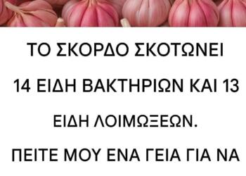 Το Φυσικό Αντιβιοτικό για την Καταπολέμηση Βακτηρίων και Λοιμώξεων