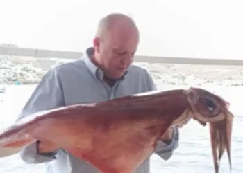 Μύκονος: Δυο τεράστια καλαμάρια 17 κιλών έβγαλε με τα χέρια του από τη θάλασσα κάτοικος