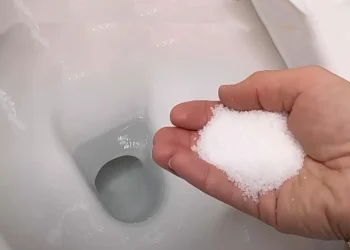 Χλωρίνη και Αλάτι: Φτιάξε το Ισχυρό καθαριστικό για να καθαρίσεις την λεκάνη της τουαλέτας από άλατα και πουρί