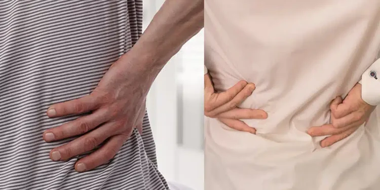 Η νούμερο 1 τροφή για γερά οστά μετά τα 50 δεν έχει καμία σχέση με γαλακτοκομικά