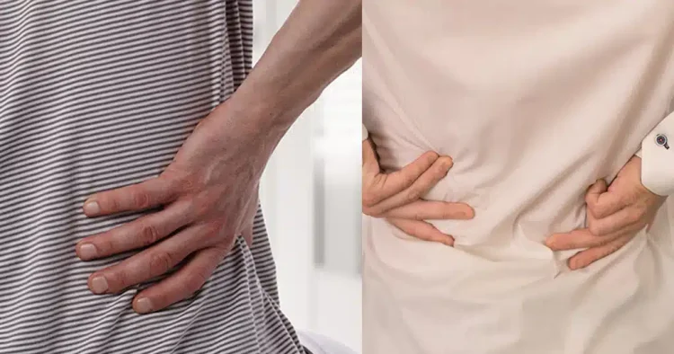 Η νούμερο 1 τροφή για γερά οστά μετά τα 50 δεν έχει καμία σχέση με γαλακτοκομικά