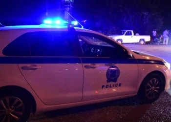 Τον σκότωσε στο ξύλο επειδή του έκλεισε τον δρόμο – Ομολόγησε ο 29χρονος τη δολοφονία του 58χρονου