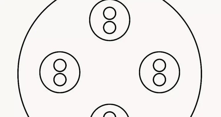 Πόσους κύκλους βλέπετε σε αυτή την εικόνα;