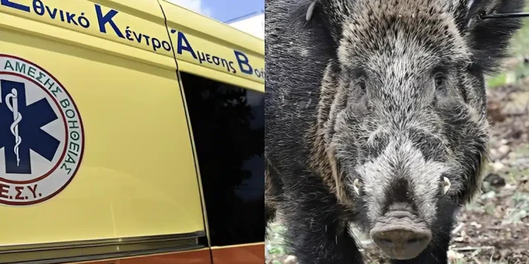 Τραγωδία: Σκοτώθηκε 24χρονος μοτοσικλετιστής μετά από σύγκρουση με αγριογούρουνο