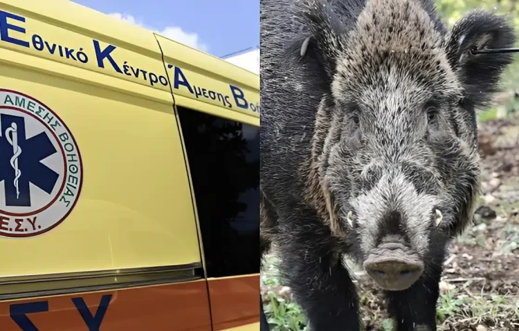 Τραγωδία: Σκοτώθηκε 24χρονος μοτοσικλετιστής μετά από σύγκρουση με αγριογούρουνο