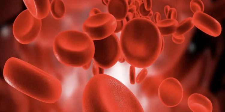 10 σημαντικές πληροφορίες που όλοι πρέπει να γνωρίζουμε για την ομάδα αίματός μας