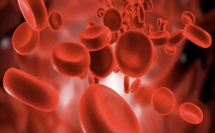 10 σημαντικές πληροφορίες που όλοι πρέπει να γνωρίζουμε για την ομάδα αίματός μας