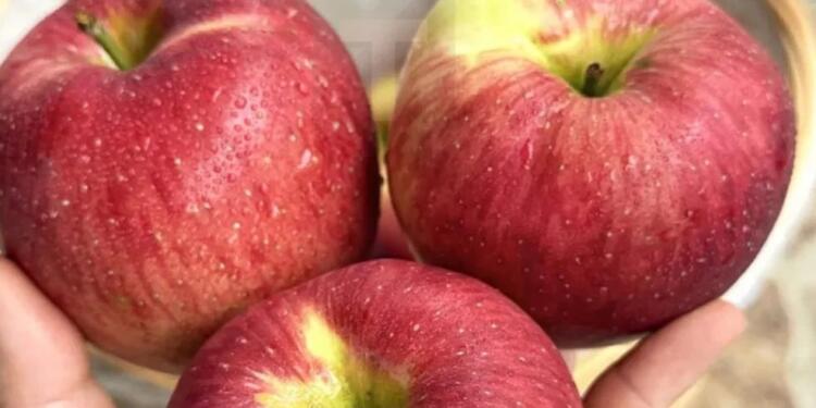 Οι γιατροί αποκαλύπτουν ότι η κατανάλωση μήλων προκαλεί…