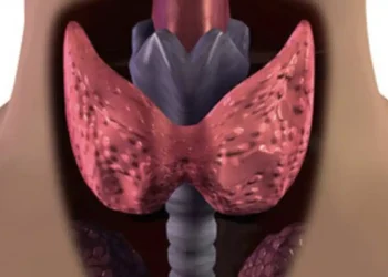 Τον τρως και… δυναμώνεις: Ο εξωτικός καρπός που λατρεύει ο θυρεοειδής – Προστατεύει την καρδιά και «ξυπνά» το μυαλό