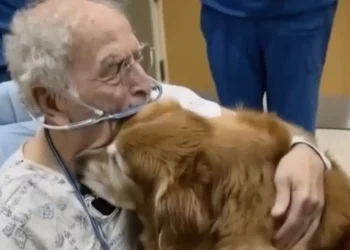 Δεν πιστεύαμε ότι θα τα κατάφερνε να περάσει τη νύχτα: Συνέχιζε να ρωτάει για τον «Μάρκο…»