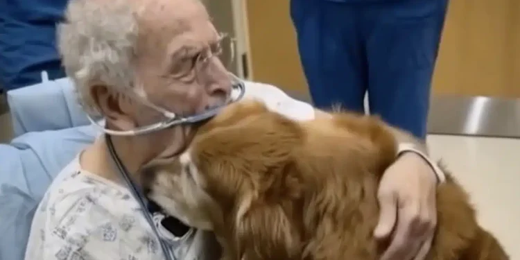 Δεν πιστεύαμε ότι θα τα κατάφερνε να περάσει τη νύχτα: Συνέχιζε να ρωτάει για τον «Μάρκο…»