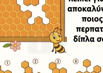 Βρες το κομμάτι της κηρήθρας που λείπει για να αποκαλύψεις ποιος περπατάει δίπλα σου