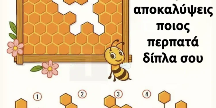 Βρες το κομμάτι της κηρήθρας που λείπει για να αποκαλύψεις ποιος περπατάει δίπλα σου