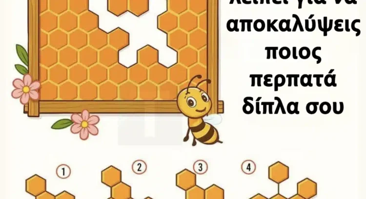 Βρες το κομμάτι της κηρήθρας που λείπει για να αποκαλύψεις ποιος περπατάει δίπλα σου