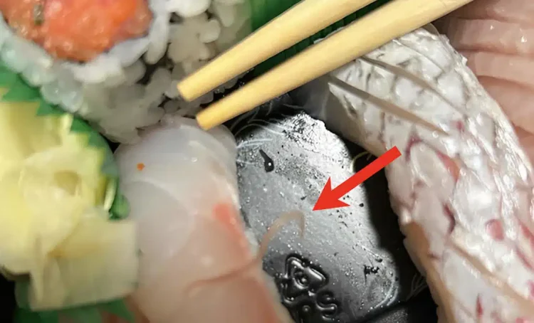 Τι θα σας συμβεί αν φάτε μολυσμένο σούσι και έχει μέσα το παράσιτο Ανισάκις