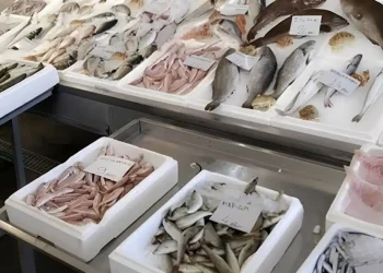 Το πιο υγιεινό ψάρι που όλοι πρέπει να τρώμε τουλάχιστον δύο φορές την εβδομάδα