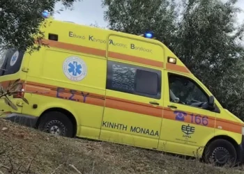 Τραγωδία στη Φθιώτιδα: 50χρονος πέθανε μετά από τσίμπημα μέλισσας – Έτρεξε να σωθεί και βγήκε εκτός δρόμου με το αυτοκίνητο