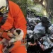 Νέα κτηνωδία-σοκ στην Ελλαδα: Πέταξαν κουτάβια σε γκρεμό 20 μέτρων, σώθηκε ένα που προστάτεψαν σακούλες σκουπιδιών