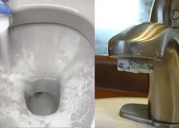 Λεκάνη και μπάνιο σαν καινούργια: Το καλύτερο λευκαντικό για να εξαφανίσετε άλατα και βρωμιά