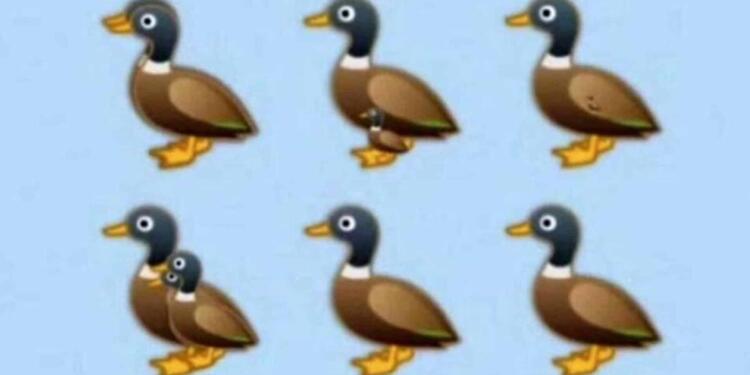 Βρείτε όλες τις πάπιες της εικόνας: Το τεστ παρατηρητικóτητας που ελάχιστοι απαντοúν σωστά