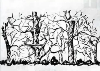 Το πρώτο ζώο που βλέπετε αποκαλύπτει κάτι καταπληκτικό για την προσωπικότητα σας