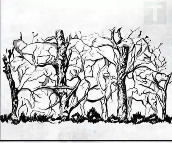 Το πρώτο ζώο που βλέπετε αποκαλύπτει κάτι καταπληκτικό για την προσωπικότητα σας