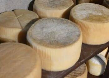 Σαρώνει η Ελλάδα – Το καλύτερο τυρί του κόσμου είναι ελληνικό για το 2025 – Αυτό είναι