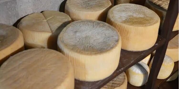 Σαρώνει η Ελλάδα – Το καλύτερο τυρί του κόσμου είναι ελληνικό για το 2025 – Αυτό είναι