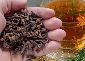 Δεντρολίβανο και γαρίφαλο: Ένας εξαιρετικός φυσικός συνδυασμός