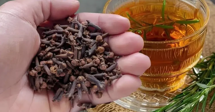 Δεντρολίβανο και γαρίφαλο: Ένας εξαιρετικός φυσικός συνδυασμός