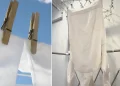 Το γιαπωνέζικο μυστικό για να στεγνώνετε γρήγορα χοντρά ρούχα