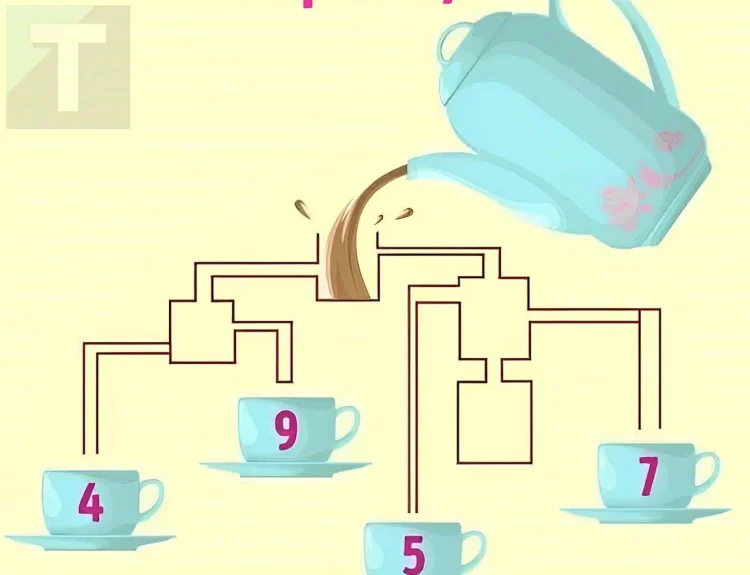 Τεστ IQ: Mπορείτε να βρείτε ποιο φλιτζάνι θα γεμίσει πρώτο με τσάι σε 5 δευτερόλεπτα;