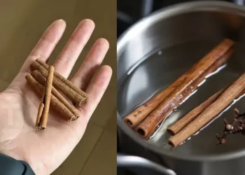 Η κανέλα σε συνδυασμό με τα γαρίφαλα είναι ένα μυστικό που εύχομαι να είχα μάθει νωρίτερα