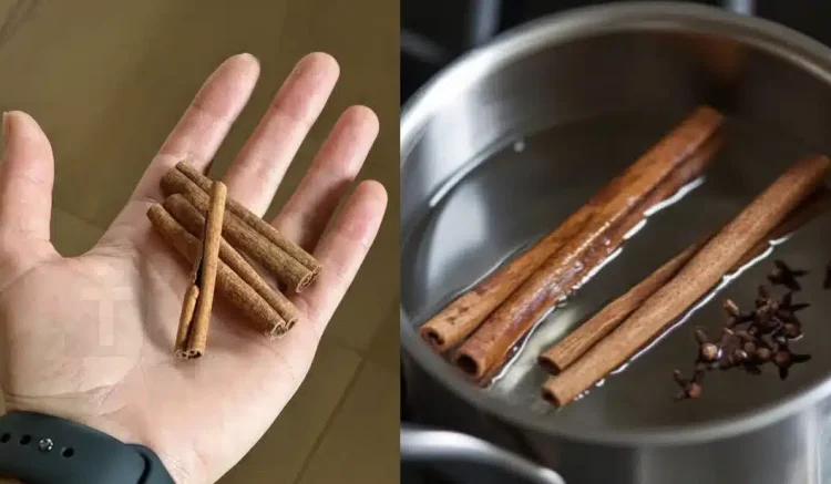 Η κανέλα σε συνδυασμό με τα γαρίφαλα είναι ένα μυστικό που εύχομαι να είχα μάθει νωρίτερα