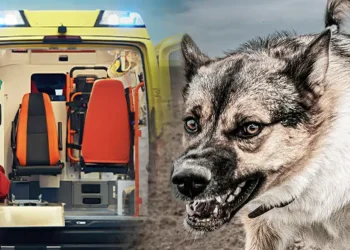 Σοκ σήμερα στη Ζάκυνθο με νεκρό 2χρονο παιδάκι – Μαθεύτηκε όλη η αλήθεια – Η ράτσα του σκύλου