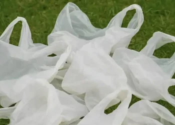 Σταματήστε να πετάτε τις πλαστικές σακούλες από τα ψώνια – 10 έξυπνα κóλπα για να τις χρησιμοποιήσετε μέσα στο σπίτι