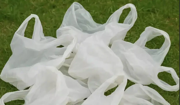 Σταματήστε να πετάτε τις πλαστικές σακούλες από τα ψώνια – 10 έξυπνα κóλπα για να τις χρησιμοποιήσετε μέσα στο σπίτι