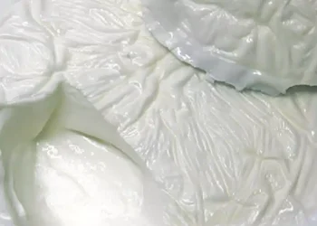 Τι ώρα να τρώτε γιαούρτι για καλύτερη υγεία… του εντέρου και πιο πολλά χρόνια ζωής