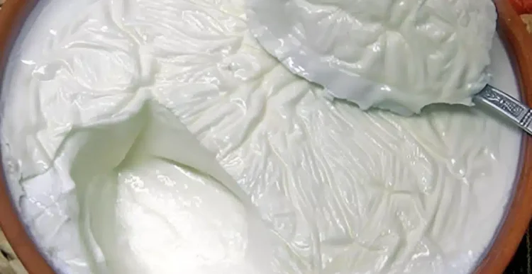 Τι ώρα να τρώτε γιαούρτι για καλύτερη υγεία… του εντέρου και πιο πολλά χρόνια ζωής