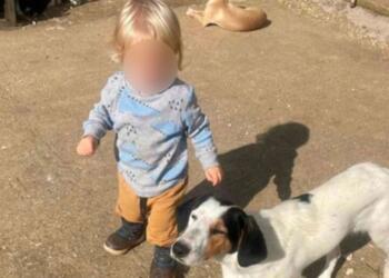 Αυτός είναι το ξανθό αγγελούδι που κατασπάραξε το πίτμπουλ προχτες στην Ζάκυνθο