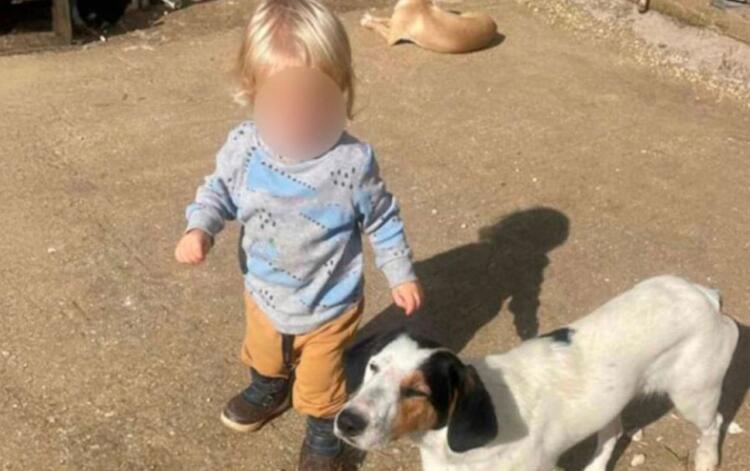 Αυτός είναι το ξανθό αγγελούδι που κατασπάραξε το πίτμπουλ προχτες στην Ζάκυνθο