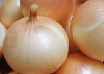 Οι γιατροί αποκαλύπτουν ότι η κατανάλωση κρεμμυδιού προκαλεί…