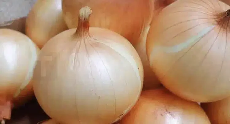 Οι γιατροί αποκαλύπτουν ότι η κατανάλωση κρεμμυδιού προκαλεί…