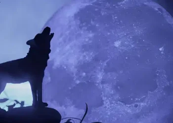 Το «Φεγγάρι του Λύκου» έρχεται στις 3 Ιανουαρίου – Η πρώτη πανσέληνος του 2026 επηρεάζει τρία ζώδια