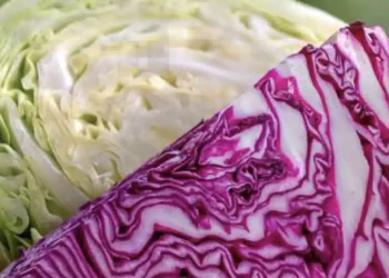 Οι γιατροί αποκαλύπτουν ότι η κατανάλωση λάχανου προκαλεί…