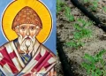 Άγιος Σπυρίδωνας: Γιατί φυτεύουμε φακές στη γιορτή του