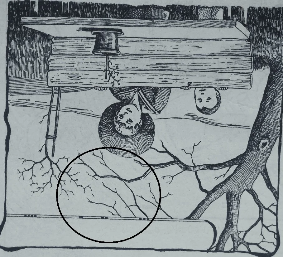 H παλιά οπτική ψευδαίσθηση που μπερδεύει τον εγκέφαλο - Λίγοι μπορούν να βρουν τη μητέρα των δύο παιδιών σε 5 δευτερόλεπτα 2 123 1